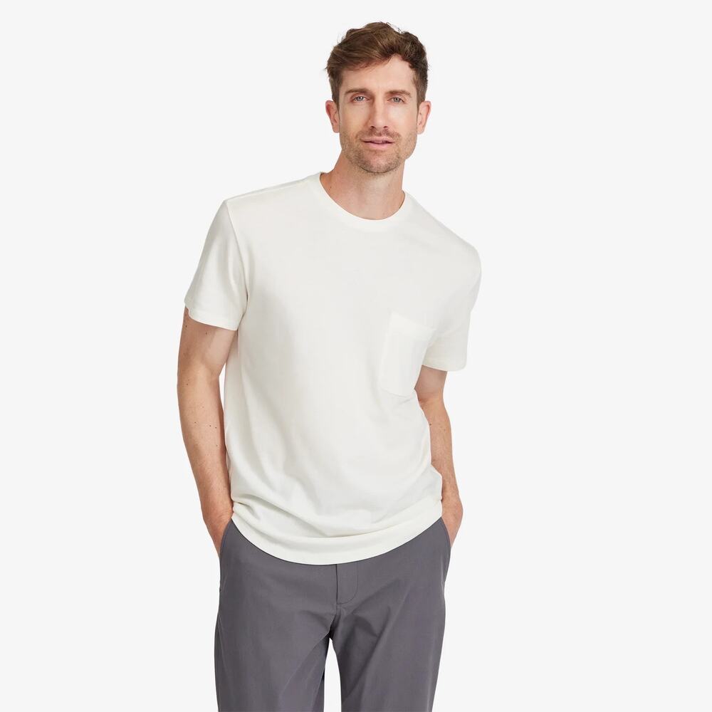 New Allbirds anytime shirt
